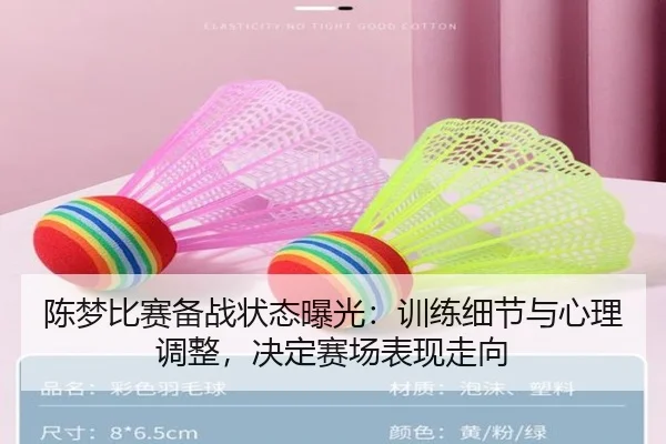 陈梦比赛备战状态曝光：训练细节与心理调整，决定赛场表现走向 - migutiyu
